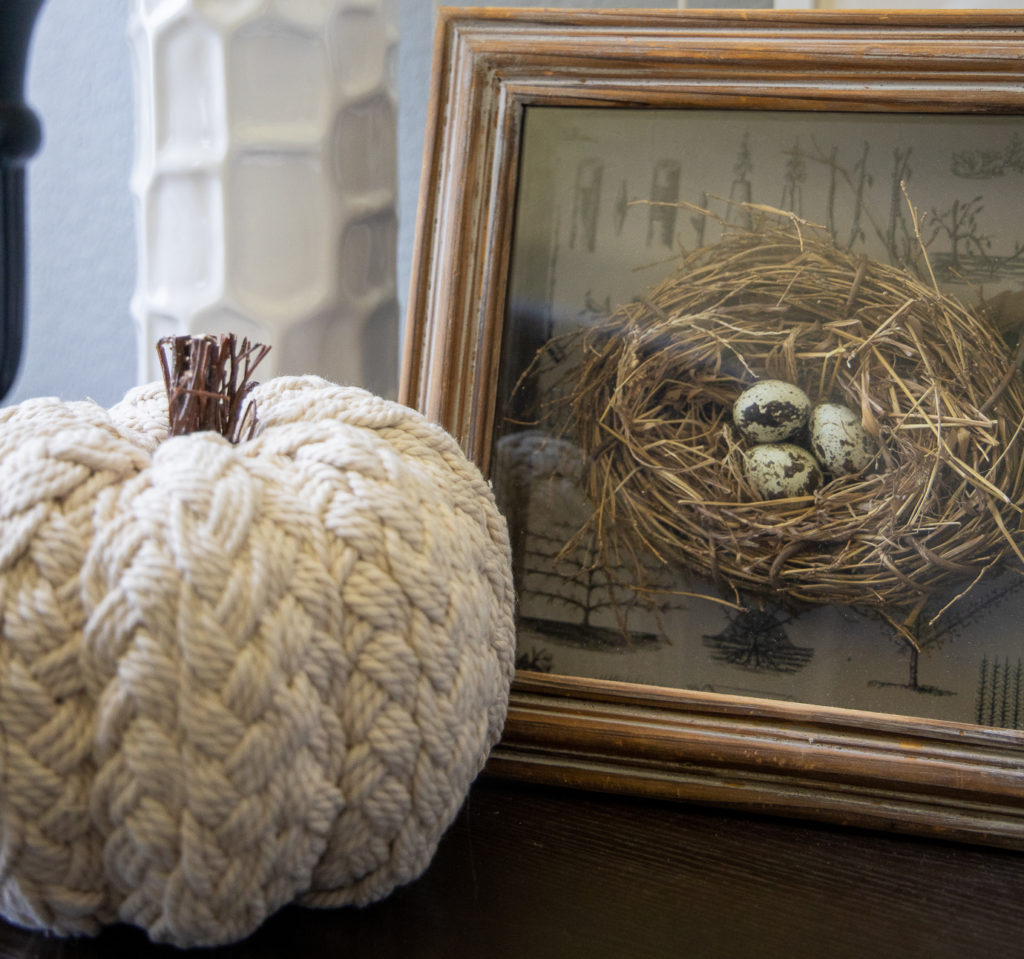 a white rope pumpkin and a shadowbox with a bird's nest