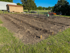 a vegetable garden with raised rows