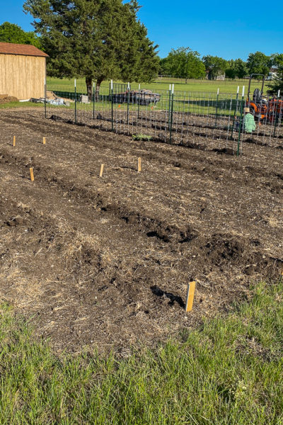 a vegetable garden with raised rows