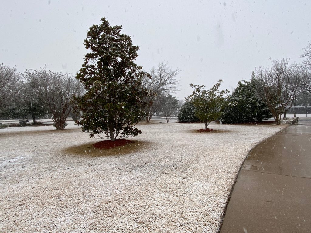 a front yard with snow falling and accumulating on the grass.